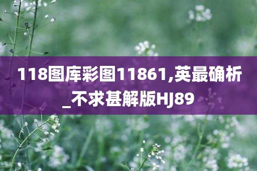 118图库彩图11861,英最确析_不求甚解版HJ89