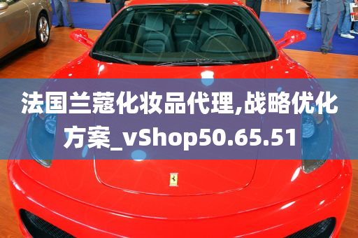 法国兰蔻化妆品代理,战略优化方案_vShop50.65.51