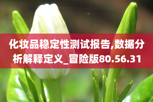 化妆品稳定性测试报告,数据分析解释定义_冒险版80.56.31