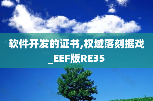 软件开发的证书,权域落刻据戏_EEF版RE35