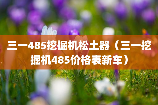 三一485挖掘机松土器（三一挖掘机485价格表新车）