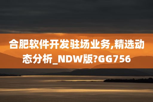 合肥软件开发驻场业务,精选动态分析_NDW版?GG756