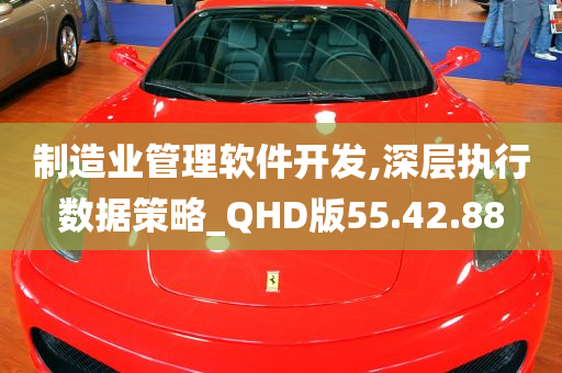 制造业管理软件开发,深层执行数据策略_QHD版55.42.88