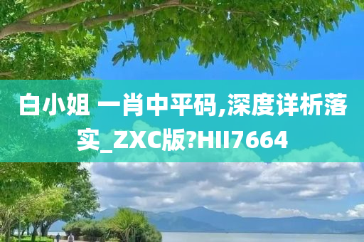 白小姐 一肖中平码,深度详析落实_ZXC版?HII7664