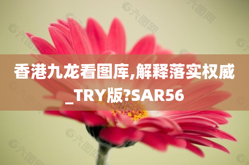 香港九龙看图库,解释落实权威_TRY版?SAR56