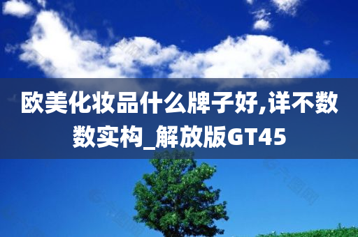 欧美化妆品什么牌子好,详不数数实构_解放版GT45