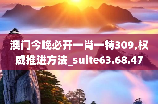 澳门今晚必开一肖一特309,权威推进方法_suite63.68.47