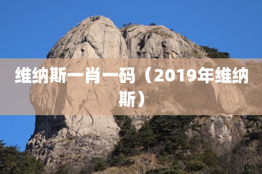 维纳斯一肖一码（2019年维纳斯）