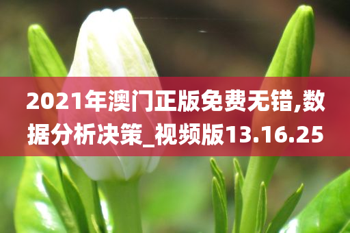 2021年澳门正版免费无错,数据分析决策_视频版13.16.25