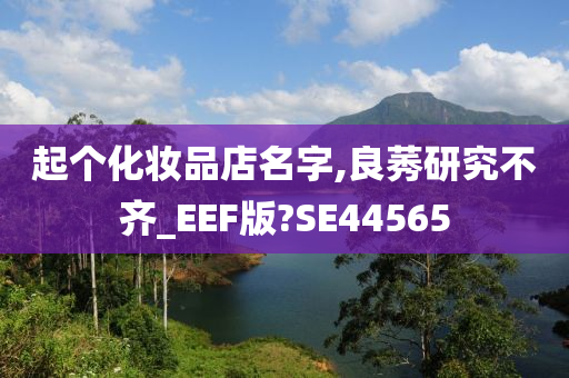 起个化妆品店名字,良莠研究不齐_EEF版?SE44565