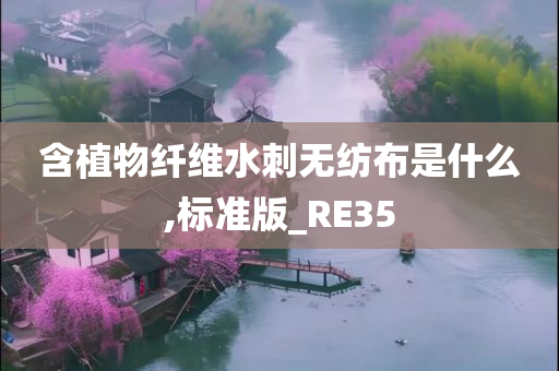 含植物纤维水刺无纺布是什么,标准版_RE35