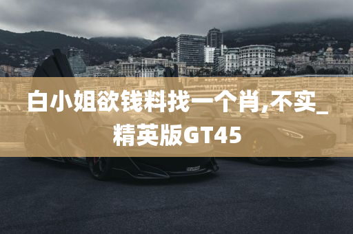 白小姐欲钱料找一个肖,不实_精英版GT45