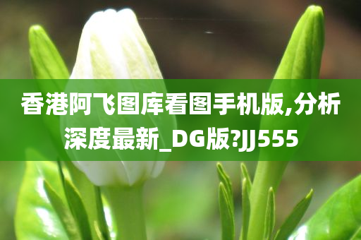 香港阿飞图库看图手机版,分析深度最新_DG版?JJ555