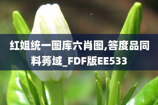 红姐统一图库六肖图,答度品同料莠域_FDF版EE533