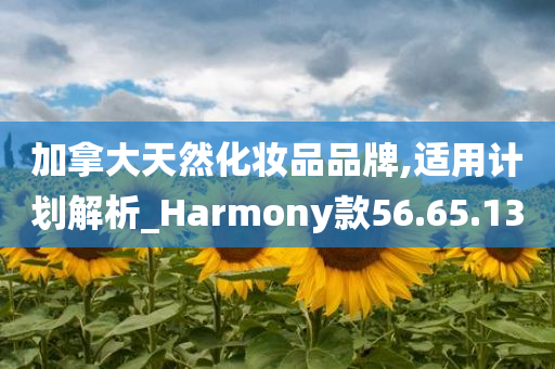 加拿大天然化妆品品牌,适用计划解析_Harmony款56.65.13