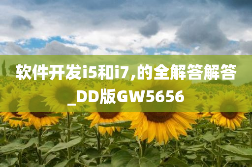 软件开发i5和i7,的全解答解答_DD版GW5656