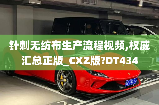 针刺无纺布生产流程视频,权威汇总正版_CXZ版?DT434