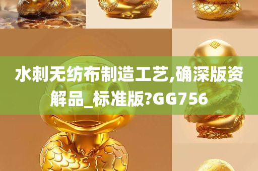 水刺无纺布制造工艺,确深版资解品_标准版?GG756