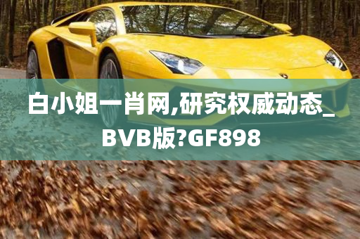 白小姐一肖网,研究权威动态_BVB版?GF898