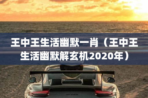 王中王生活幽默一肖（王中王生活幽默解玄机2020年）