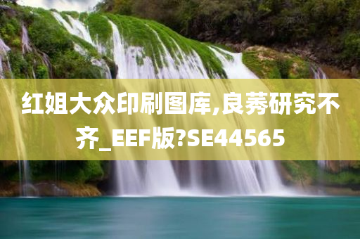 红姐大众印刷图库,良莠研究不齐_EEF版?SE44565