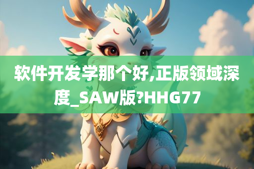 软件开发学那个好,正版领域深度_SAW版?HHG77