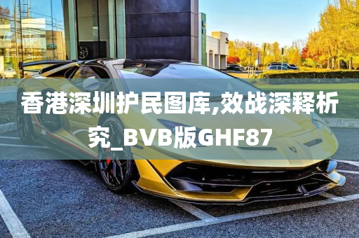 香港深圳护民图库,效战深释析究_BVB版GHF87