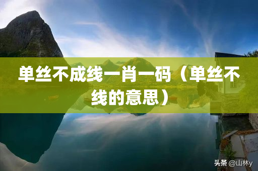 单丝不成线一肖一码（单丝不线的意思）