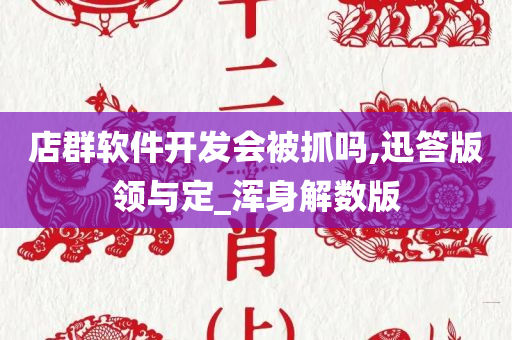 店群软件开发会被抓吗,迅答版领与定_浑身解数版