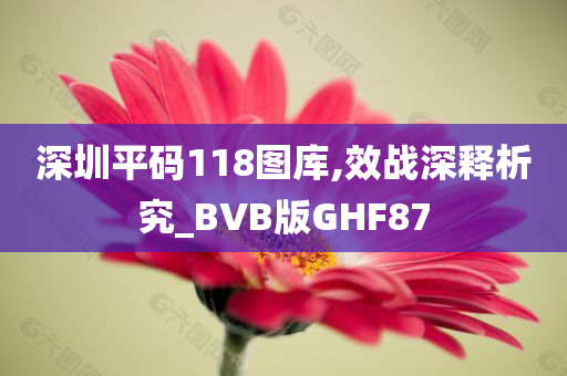 深圳平码118图库,效战深释析究_BVB版GHF87