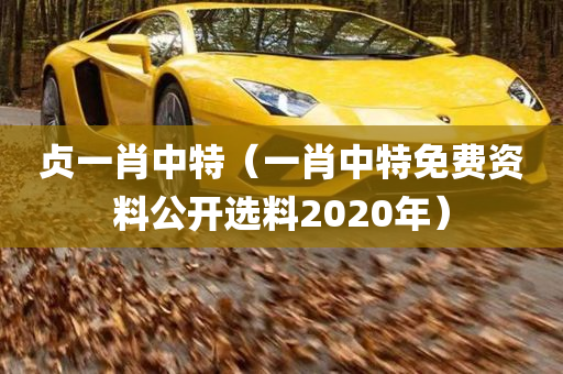 贞一肖中特（一肖中特免费资料公开选料2020年）