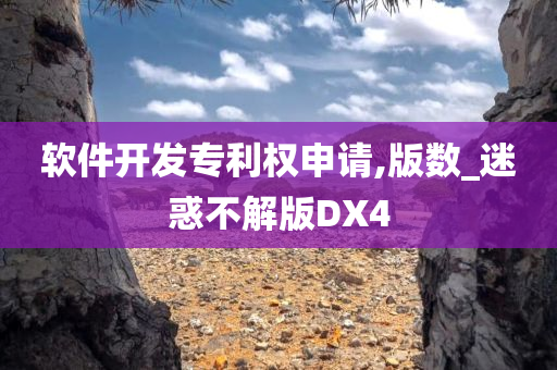 软件开发专利权申请,版数_迷惑不解版DX4