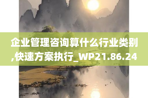 企业管理咨询算什么行业类别,快速方案执行_WP21.86.24