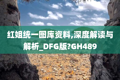 红姐统一图库资料,深度解读与解析_DFG版?GH489