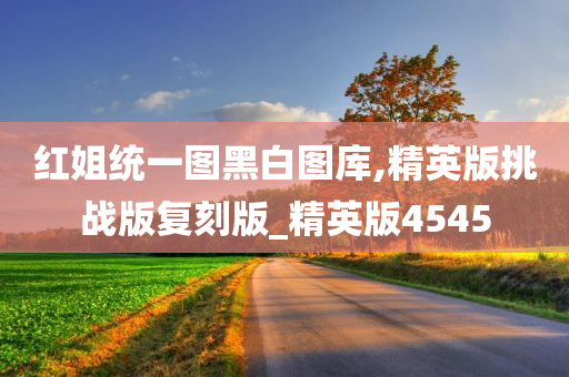 红姐统一图黑白图库,精英版挑战版复刻版_精英版4545