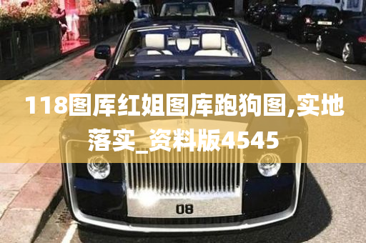 118图厍红姐图库跑狗图,实地落实_资料版4545