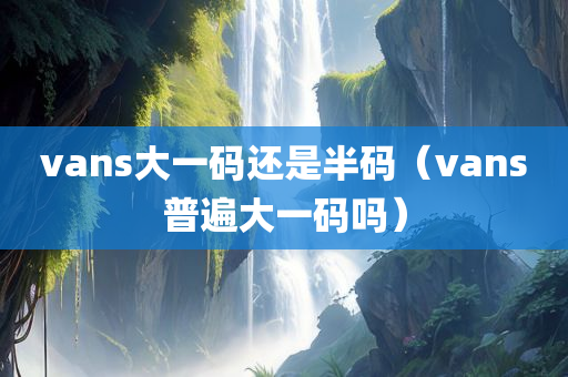 vans大一码还是半码（vans普遍大一码吗）