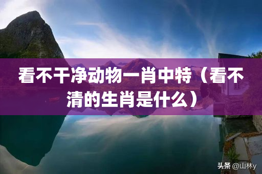 看不干净动物一肖中特（看不清的生肖是什么）