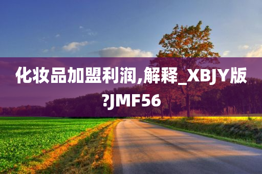 化妆品加盟利润,解释_XBJY版?JMF56