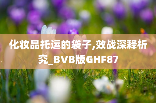 化妆品托运的袋子,效战深释析究_BVB版GHF87