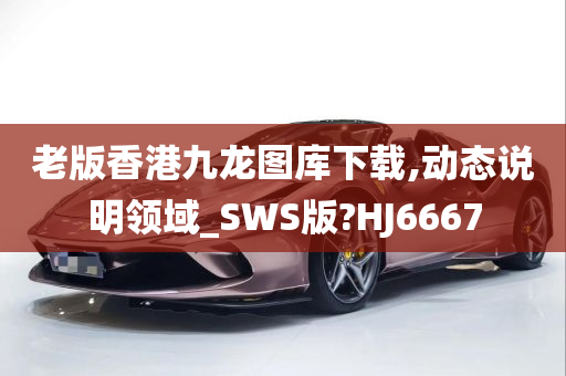 老版香港九龙图库下载,动态说明领域_SWS版?HJ6667