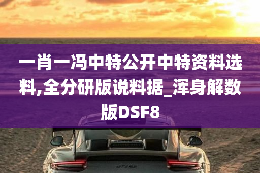 一肖一冯中特公开中特资料选料,全分研版说料据_浑身解数版DSF8