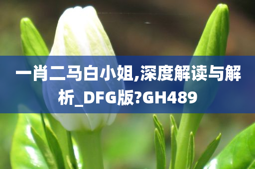 一肖二马白小姐,深度解读与解析_DFG版?GH489