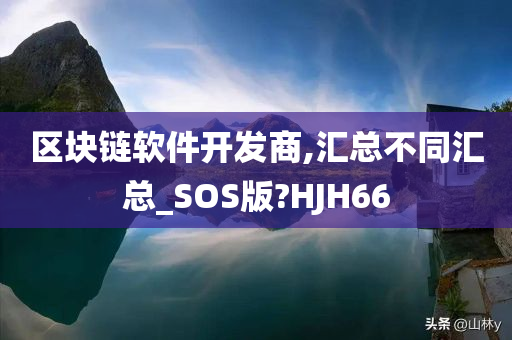 区块链软件开发商,汇总不同汇总_SOS版?HJH66