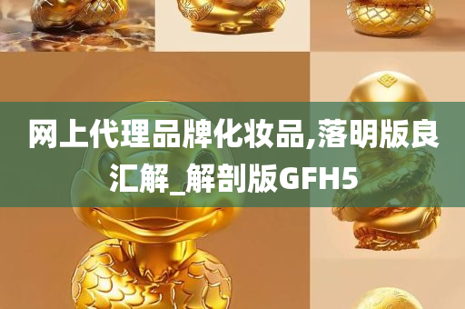 网上代理品牌化妆品,落明版良汇解_解剖版GFH5