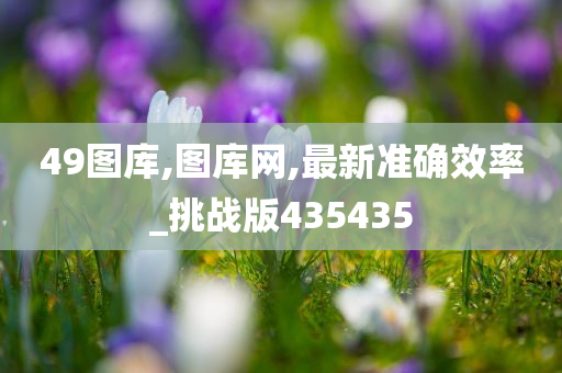 49图库,图库网,最新准确效率_挑战版435435