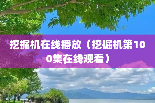 挖掘机在线播放（挖掘机第100集在线观看）