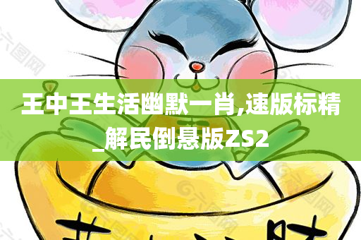 王中王生活幽默一肖,速版标精_解民倒悬版ZS2