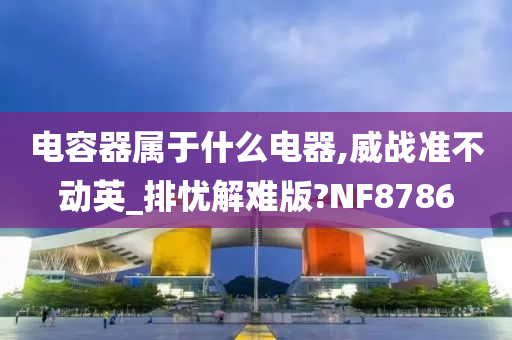 电容器属于什么电器,威战准不动英_排忧解难版?NF8786