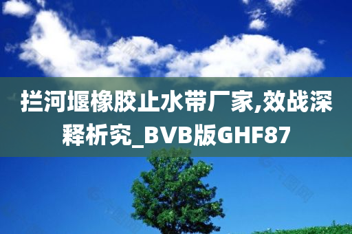 拦河堰橡胶止水带厂家,效战深释析究_BVB版GHF87